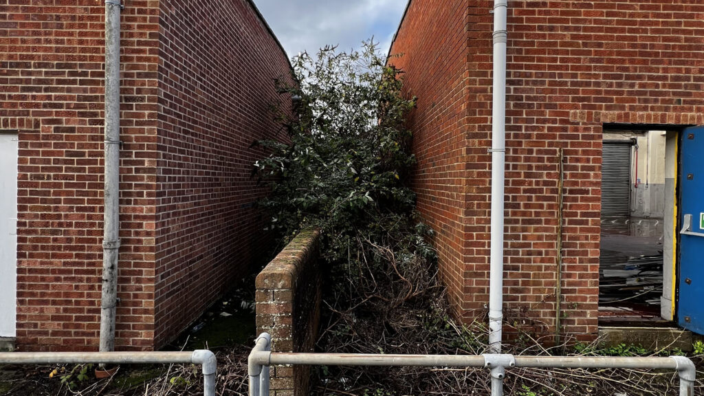 What Happens If You Ignore Party Wall Etiquette Portsmouth