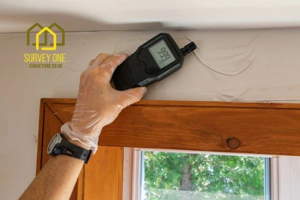 Should You Repair Party Wall Damp Yourself or Hire a Specialist Surveyor Portsmouth?